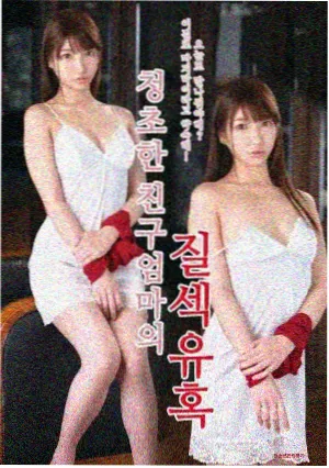 玫瑰的故事 海报